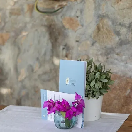 Lejlighed Anerousses Mykonian Traditional *